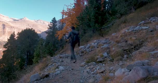 Back View Young Hiker Man Trekking Backpack Walking Trail Dark — Stock Video