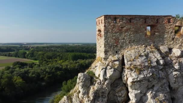 Rotierende Filmische Drohnenaufnahme Der Burg Hrad Devin Bratislava Slowakei — Stockvideo