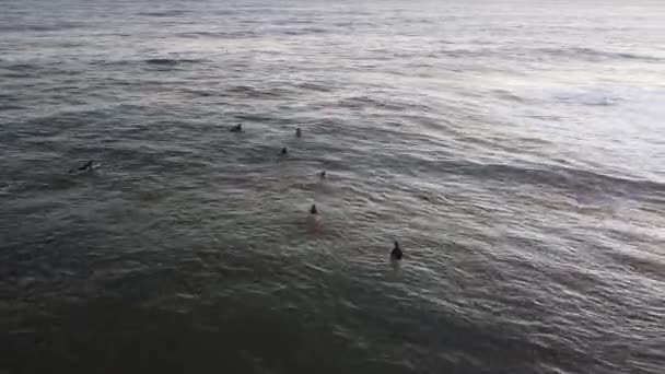 Surfers Και Ηλιοβασίλεμα Στην Punta Del Este Ουρουγουάη — Αρχείο Βίντεο