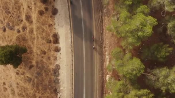 两名骑自行车的职业骑手在森林空旷的道路上的高空无人驾驶飞机射击 — 图库视频影像