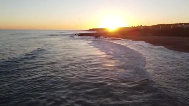 Coucher Soleil Doré Plage Punta Del Este Urugauay — Video