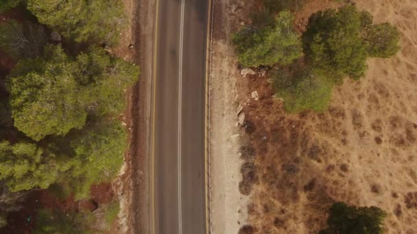 Ormanın Boş Yollarında Giden Iki Profesyonel Yol Bisikletçisinin Statik Görüntüsü — Stok video