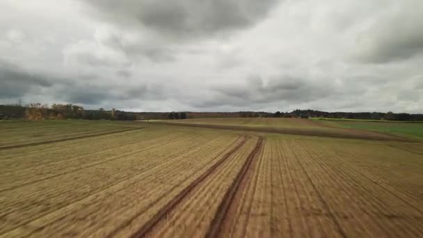 Champ Agricole Récemment Labouré Par Survol Aérien Rapide Sombre Journée — Video