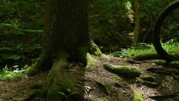 Een Close Van Een Mountainbike Die Een Zonnige Dag Door — Stockvideo