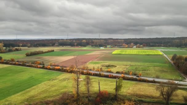 Luchtfoto Van Auto Rijden Twee Rijstroken Weg Door Landbouwbedrijven Velden — Stockvideo