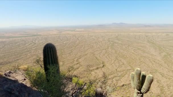 Amplas Áreas Secas Deserto Picacho Peak Arizona — Vídeo de Stock