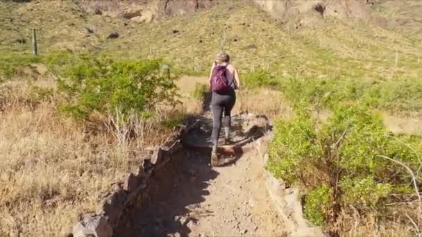 Wanderabenteuer Picacho Peak Arizona Sommer Weit — Stockvideo