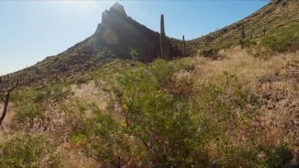 Picacho Peak Słoneczny Dzień Jak Widać Szlaku Myśliwych Arizonie Usa — Wideo stockowe