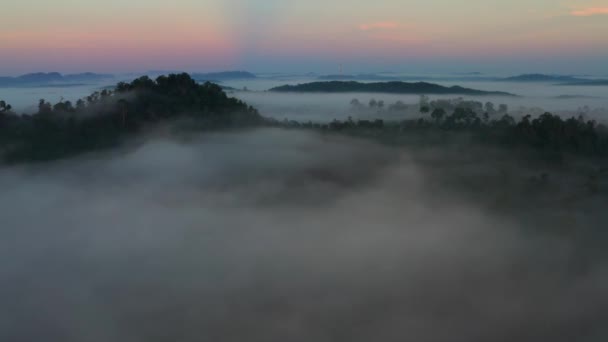 Чудовий Повітряний Кінематограф Знятий Над Хмарою Гори Малайзійських Вологих Лісах — стокове відео