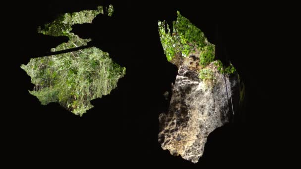 Largo Plano Cerca Amazing Una Cueva Grande Natural Con Murciélagos — Vídeos de Stock