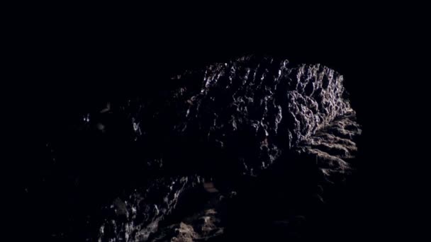 Yarasalarla Dolu Büyük Doğal Bir Mağaranın Içinde Yakın Plan Bir — Stok video