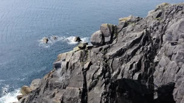 Wspaniałe Skaliste Klify Półwyspie Dingle Coast Irlandii Aerial — Wideo stockowe