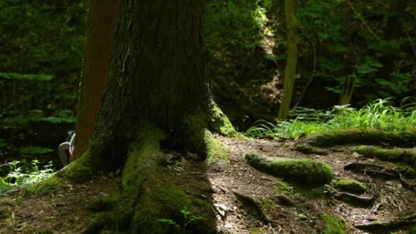 Een Close Van Een Mountainbike Die Een Zonnige Dag Door — Stockvideo