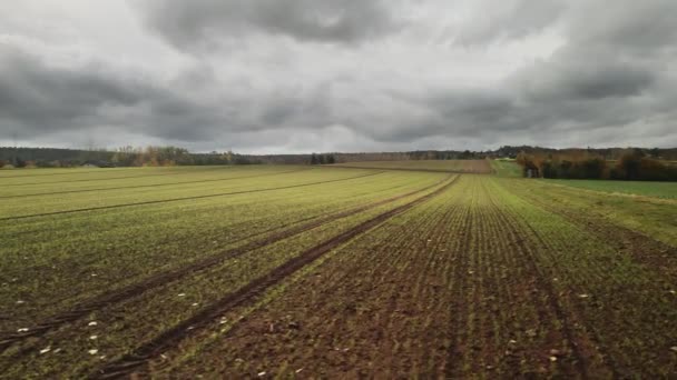 Campo Agrícola Agrícola Fresco Aéreo Dia Tempestuoso Nublado Drone Pan — Vídeo de Stock
