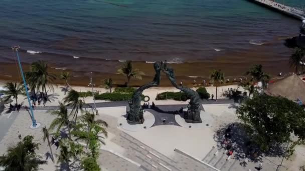 Aerial View Beach Affected Sargassum Seaweed Caribbean — Stock Video