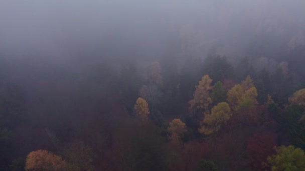 秋天的一个雾蒙蒙的早晨 空中俯瞰着落叶森林上方的小山 捷克共和国 — 图库视频影像