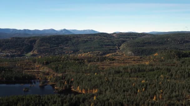 Luchtfoto Boven Noorse Bos Bergketen — Stockvideo