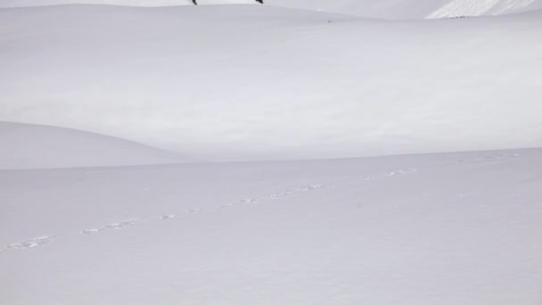 Capas Gruesas Cobertura Nieve Los Alpes Suizos — Vídeo de stock