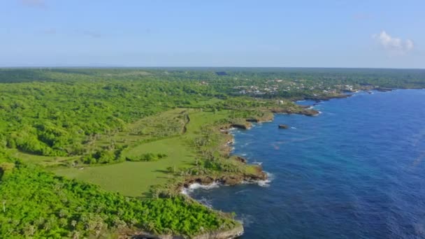 晴天和蓝天时沿着波卡 德约马农村海岸线的空中飞行 绿色森林景观和蓝色加勒比海的空中景观 — 图库视频影像
