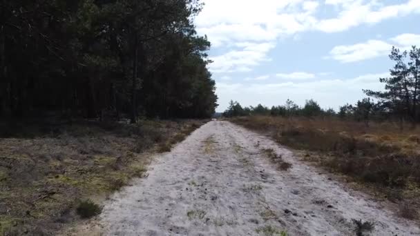 Drone Tiro Caminho Areia Com Saúde Floresta — Vídeo de Stock