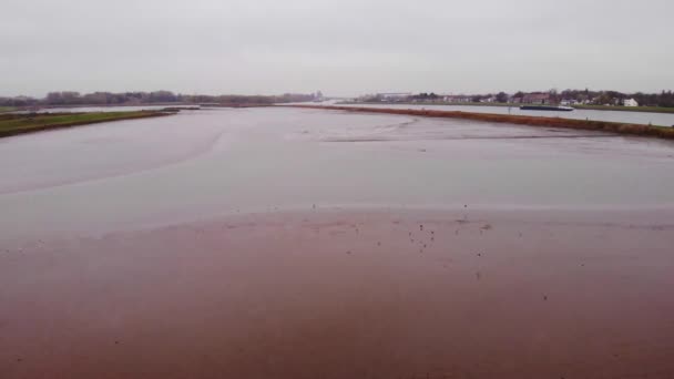 Grande Lago Con Stormo Volante Uccelli Crezepolder Olanda Meridionale Drone — Video Stock