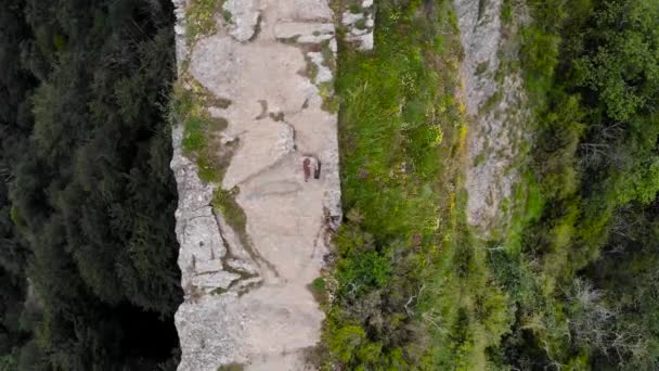 Aérea Disparo Zenital Hombre Con Una Maleta Caminando Sobre Acantilado — Vídeos de Stock