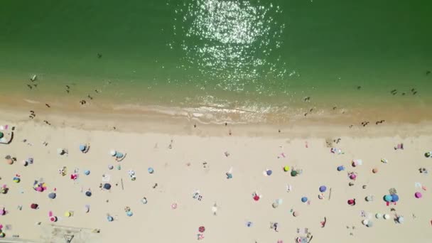 Vista Aérea Arriba Hacia Abajo Largo Hermosa Playa Arena Agua — Vídeos de Stock