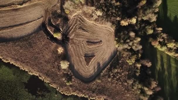 空中ドローン自然保護区内の湖の横にある切断されたフィールドの上に円を飛んでショット — ストック動画