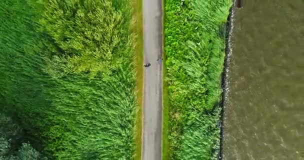 Due Persone Che Divertono Passeggiare Sul Sentiero Parco Intorno Lago — Video Stock