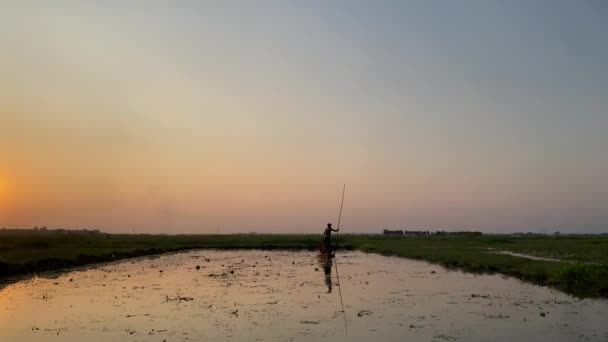 田舎の村の湖のプランクトンで覆われた乗客とボートを漕いでいる男がいる村の夕日の美しいシーン 前方4Kで撮影移動 — ストック動画