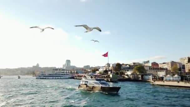 Gaivotas Frente Iate Luxo Estreito Bósforo Istambul Ensolarado — Vídeo de Stock