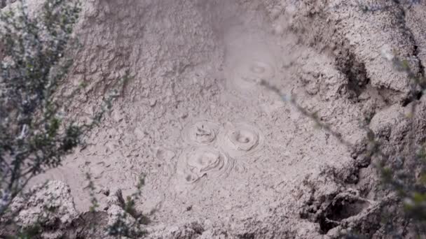 Closeup Shot Hot Boiling Mud Pool Mudpot Daytime Acidic Hot — Stock Video