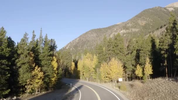 Scenic Drone Filmagem Das Cores Outono Árvores Álamo Mudando Passo — Vídeo de Stock