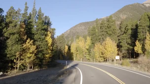 콜로라도 바꾸어 콜로라도 나무들의 서식지 — 비디오