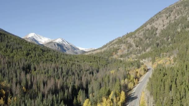 Scenic Drone Bilder Hösten Färger Och Asp Träd Förändras Bergspasset — Stockvideo