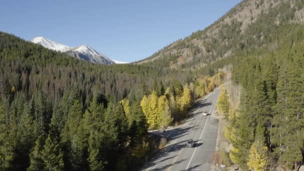 Scenic Drone Footage Der Herbstfarben Und Der Espenbäume Die Sich — Stockvideo