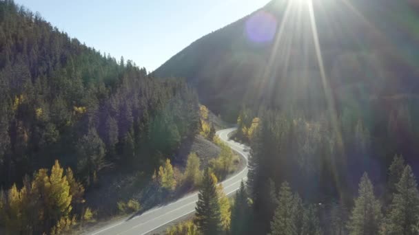 Scenic Drone Bilder Hösten Färger Och Asp Träd Förändras Bergspasset — Stockvideo