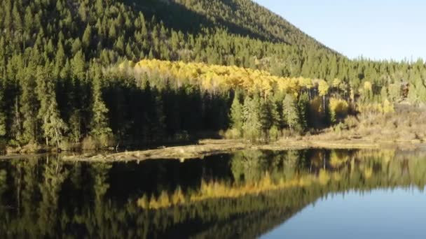 Scenic Drone Beelden Van Herfstkleuren Aspen Bomen Veranderen Bergpas Colorado — Stockvideo