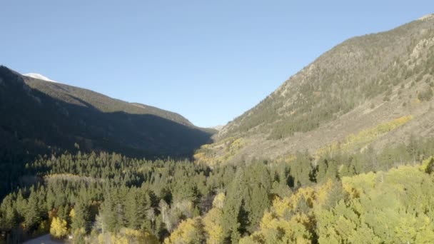 Scenic Drone Filmagem Das Cores Outono Árvores Álamo Mudando Passo — Vídeo de Stock