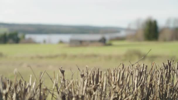 Vintage Wooden Hay Barn Dekat Danau Countryside Swedia Kedalaman Fokus — Stok Video