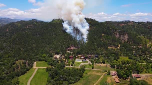 山火事による大気汚染 人間の矛盾による野生生物や自然破壊 空中風景 — ストック動画