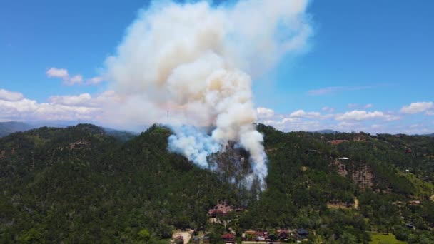 Montaña Bajo Fuego Naturaleza Destrucción Vida Silvestre Por Ser Humano — Vídeos de Stock