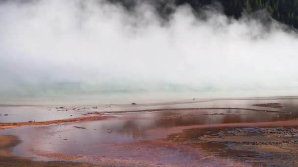 Steam Från Varma Hydrotermiska Källor Som Rör Sig Ovanför Naturlig — Stockvideo