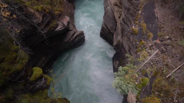Cañón Del Río Athabasca Parque Nacional Jasper Alberta Canadá Aguas — Vídeos de Stock