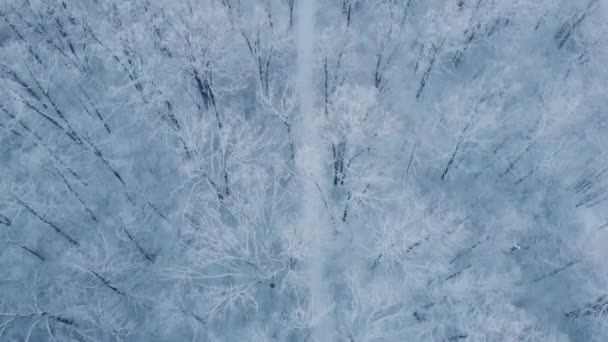 Aerial Footage Snow Hoar Frost Cold Winter Day — Stock Video