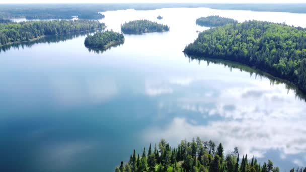 Flygbilder Sjö Med Himlens Spegelbild Och Massor Gröna Buskar Och — Stockvideo