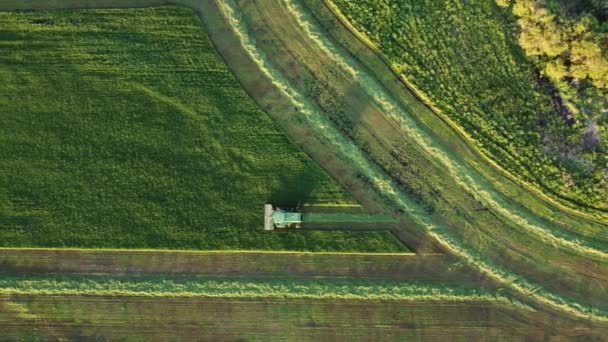 Съемка Беспилотника Воздуха Которой Фермер Объединяет Урожай Своем Поле Закате — стоковое видео