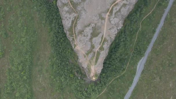 Acima Formação Rochosa Eyjan Desfiladeiro Floresta Asbyrgi Islândia Cima Para — Vídeo de Stock