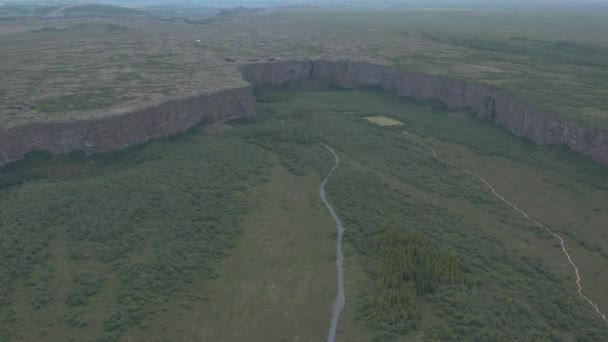 Meşhur Asbyrgi Ormanlık Kanyonu Yukarıdan Görünen Dik Kaya Kayalıkları Zlanda — Stok video