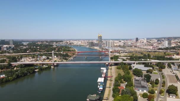 Belgrad Rıhtımı Sırbistan Güneşli Yaz Gününde Sava Nehri Üzerinde Uçmak — Stok video